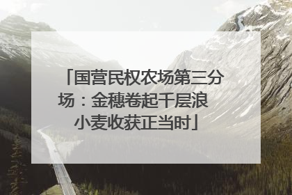 国营民权农场第三分场：金穗卷起千层浪 小麦收获正当时