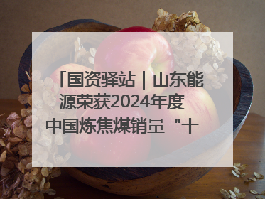 国资驿站｜山东能源荣获2024年度中国炼焦煤销量“十强”；全国首例铁路盖上智慧物流园钢结构主体完工