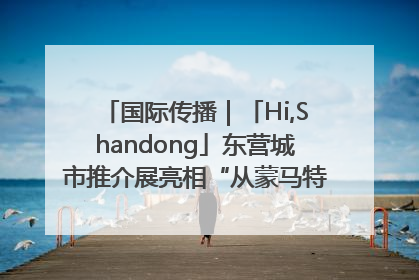 国际传播｜「Hi,Shandong」东营城市推介展亮相“从蒙马特到加里波第”文化节