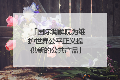 国际调解院为维护世界公平正义提供新的公共产品