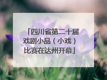 四川省第二十届戏剧小品（小戏）比赛在达州开幕