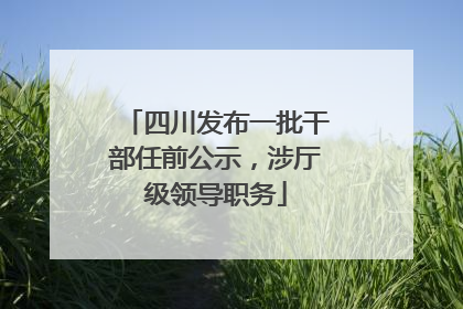 四川发布一批干部任前公示，涉厅级领导职务