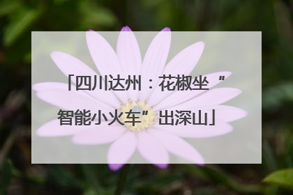 四川达州：花椒坐“智能小火车”出深山