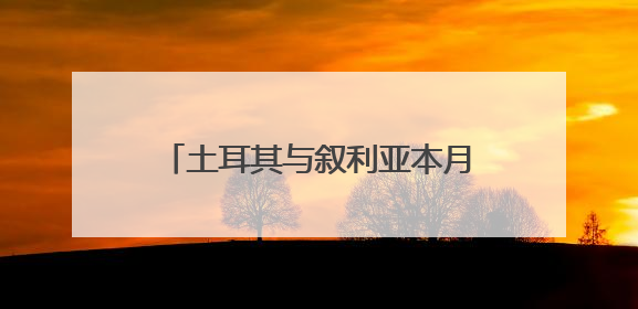 土耳其与叙利亚本月中旬起运营更多直航
