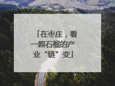 在枣庄，看一颗石榴的产业“链”变
