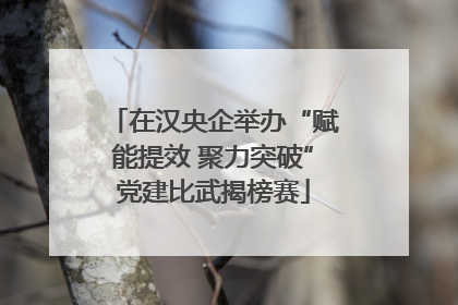 在汉央企举办“赋能提效 聚力突破”党建比武揭榜赛