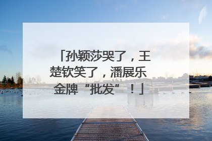 孙颖莎哭了，王楚钦笑了，潘展乐金牌“批发”！