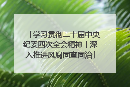 学习贯彻二十届中央纪委四次全会精神丨深入推进风腐同查同治
