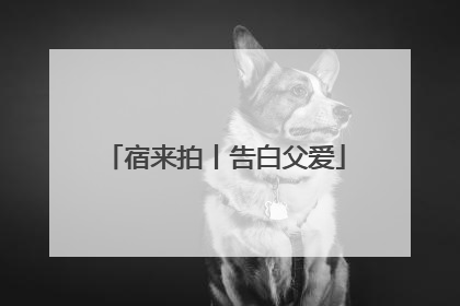 宿来拍丨告白父爱