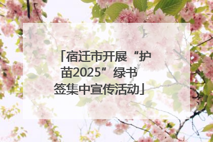 宿迁市开展“护苗2025”绿书签集中宣传活动