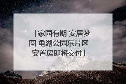 家园有期 安居梦圆 龟湖公园东片区安置房即将交付