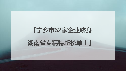 宁乡市62家企业跻身湖南省专精特新榜单！