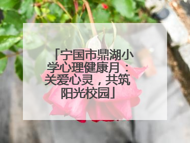宁国市鼎湖小学心理健康月：关爱心灵，共筑阳光校园