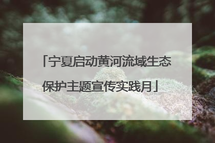 宁夏启动黄河流域生态保护主题宣传实践月
