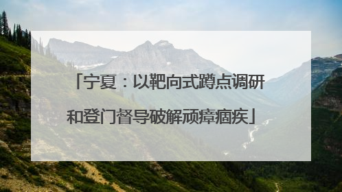 宁夏：以靶向式蹲点调研和登门督导破解顽瘴痼疾