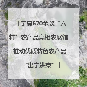 宁夏670余款“六特”农产品亮相农展馆 推动优质特色农产品“出宁进京”