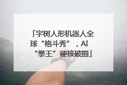 宇树人形机器人全球“格斗秀”，AI“拳王”硬核破圈