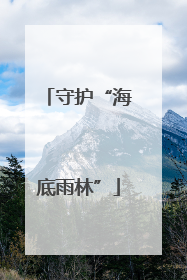守护“海底雨林”
