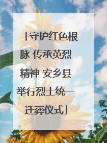守护红色根脉 传承英烈精神 安乡县举行烈士统一迁葬仪式