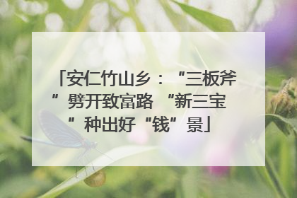 安仁竹山乡：“三板斧”劈开致富路 “新三宝”种出好“钱”景