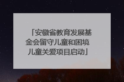 安徽省教育发展基金会留守儿童和困境儿童关爱项目启动