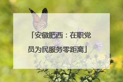 安徽肥西：在职党员为民服务零距离