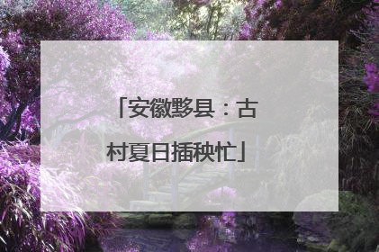 安徽黟县：古村夏日插秧忙
