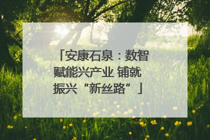 安康石泉：数智赋能兴产业 铺就振兴“新丝路”