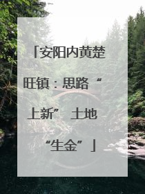 安阳内黄楚旺镇：思路“上新” 土地“生金”