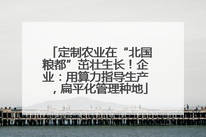 定制农业在“北国粮都”茁壮生长！企业：用算力指导生产，扁平化管理种地