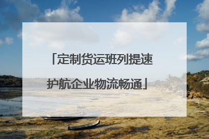 定制货运班列提速 护航企业物流畅通