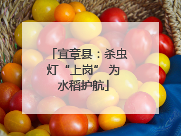 宜章县：杀虫灯“上岗” 为水稻护航