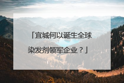 宜城何以诞生全球染发剂领军企业？