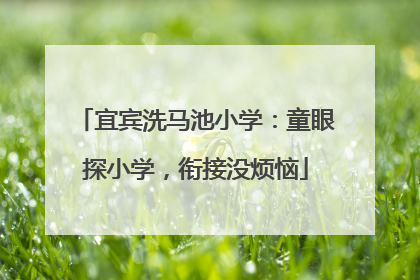 宜宾洗马池小学：童眼探小学，衔接没烦恼