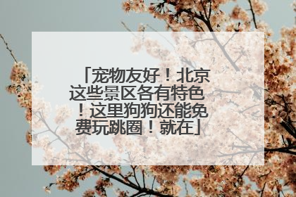 宠物友好！北京这些景区各有特色！这里狗狗还能免费玩跳圈！就在