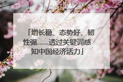 增长稳、态势好、韧性强……透过关键词感知中国经济活力