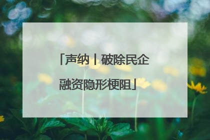 声纳丨破除民企融资隐形梗阻