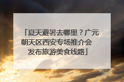 夏天避暑去哪里？广元朝天区西安专场推介会 发布旅游美食线路
