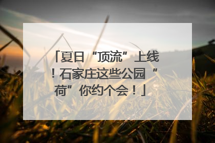 夏日“顶流”上线！石家庄这些公园“荷”你约个会！