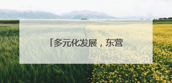 多元化发展，东营新户镇盐场、渔业和新能源产业并进