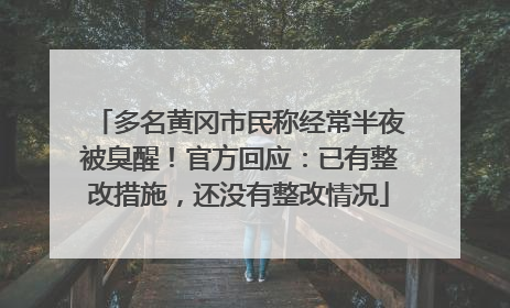 多名黄冈市民称经常半夜被臭醒！官方回应：已有整改措施，还没有整改情况