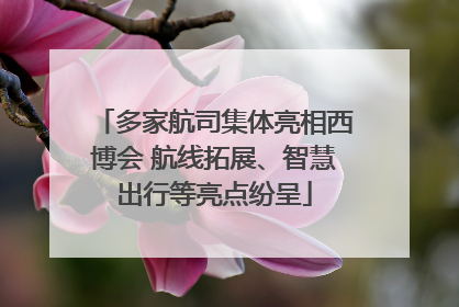 多家航司集体亮相西博会 航线拓展、智慧出行等亮点纷呈