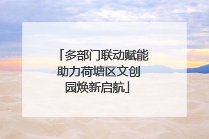 多部门联动赋能 助力荷塘区文创园焕新启航