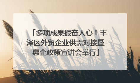 多项成果振奋人心！丰泽区外贸企业供需对接暨惠企政策宣讲会举行