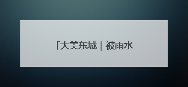 大美东城｜被雨水吻过的荷塘，藏着整个夏天的温柔