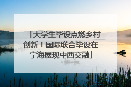 大学生毕设点燃乡村创新！国际联合毕设在宁海展现中西交融