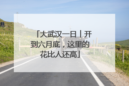 大武汉一日︱开到六月底，这里的花比人还高