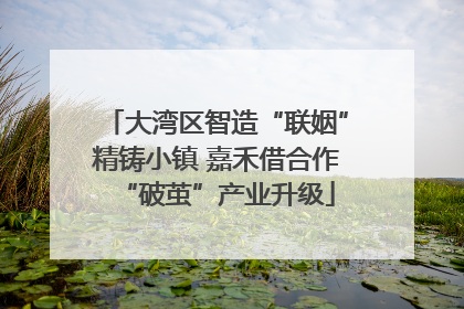 大湾区智造“联姻”精铸小镇 嘉禾借合作“破茧”产业升级