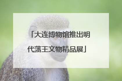 大连博物馆推出明代藩王文物精品展