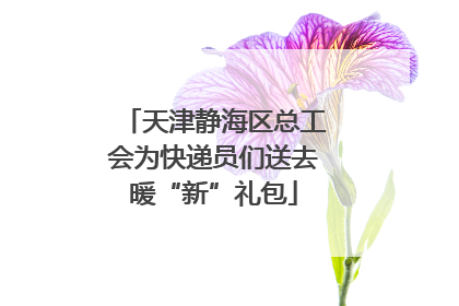 天津静海区总工会为快递员们送去暖“新”礼包